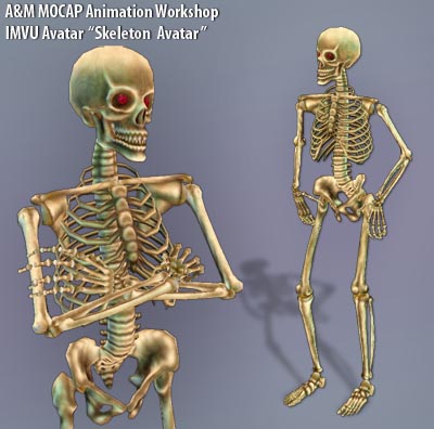 Skeleton AVI